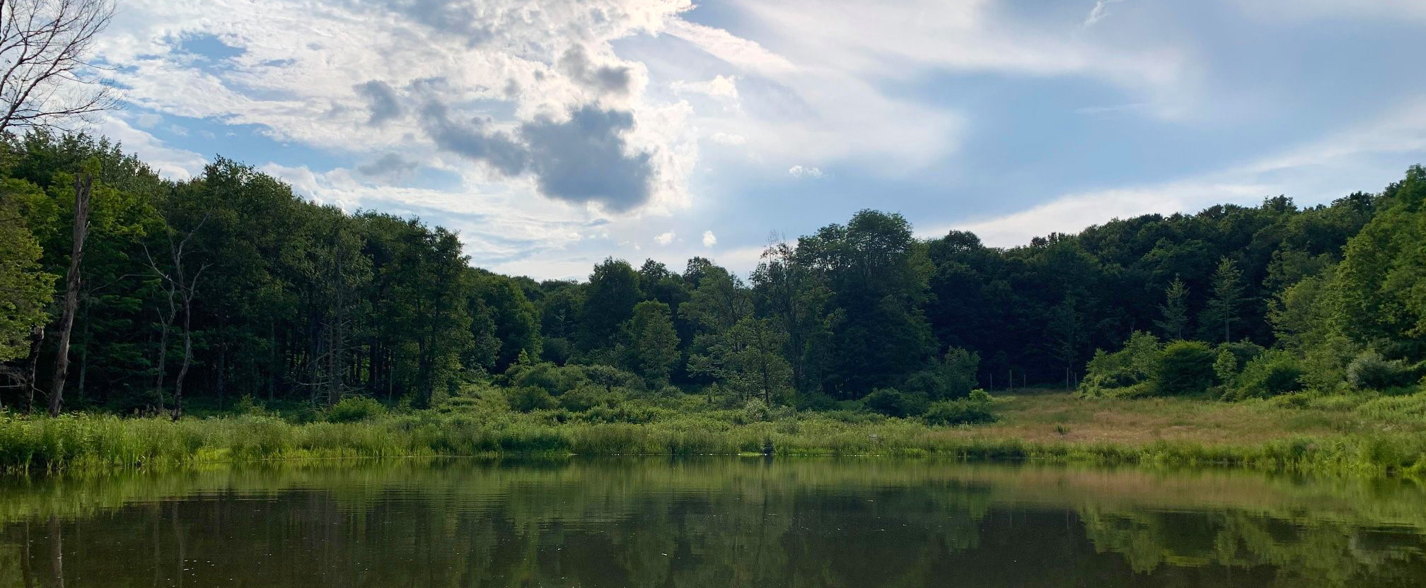 Abundant Nature